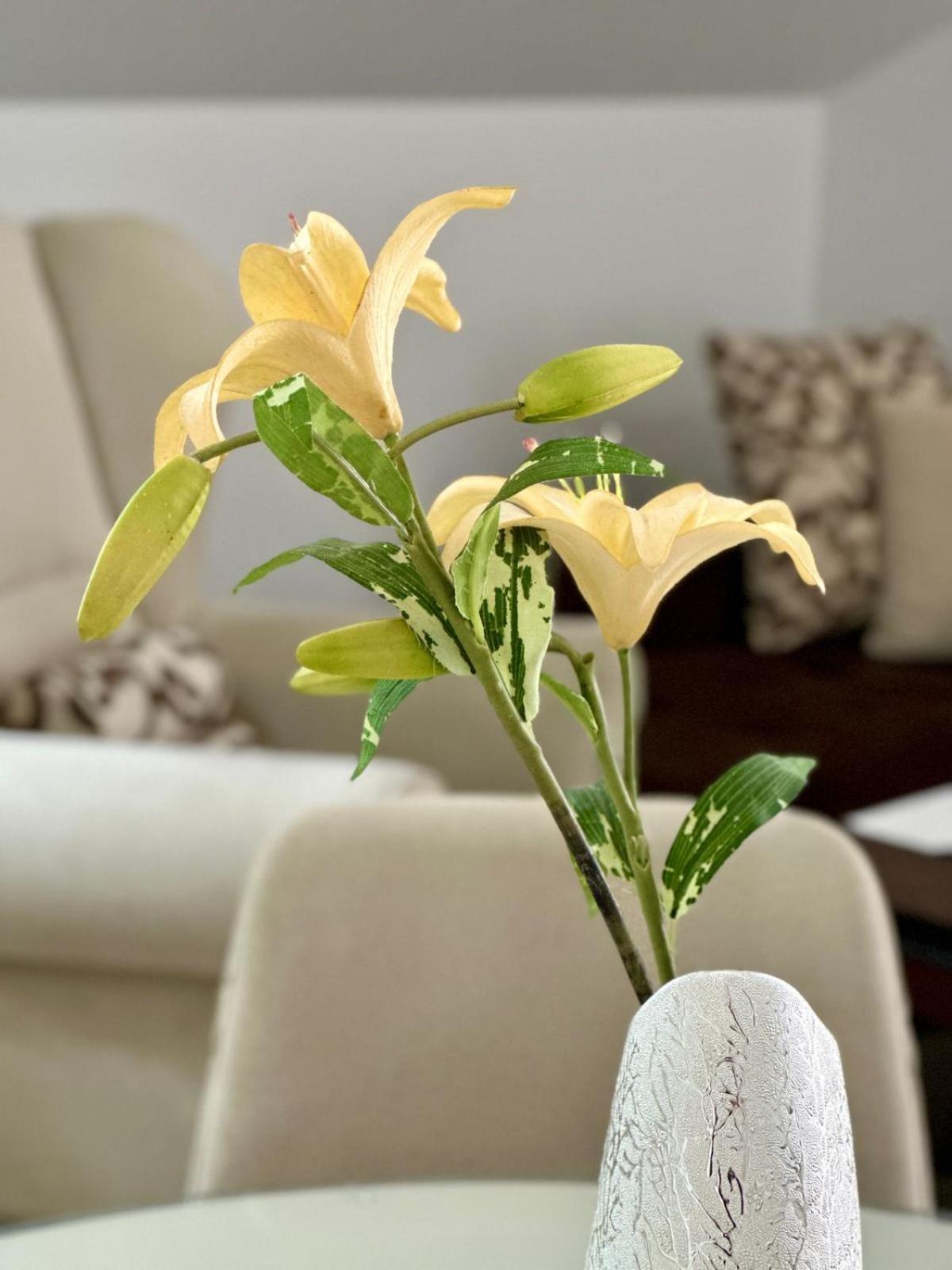 Apartments Teodo المظهر الخارجي الصورة