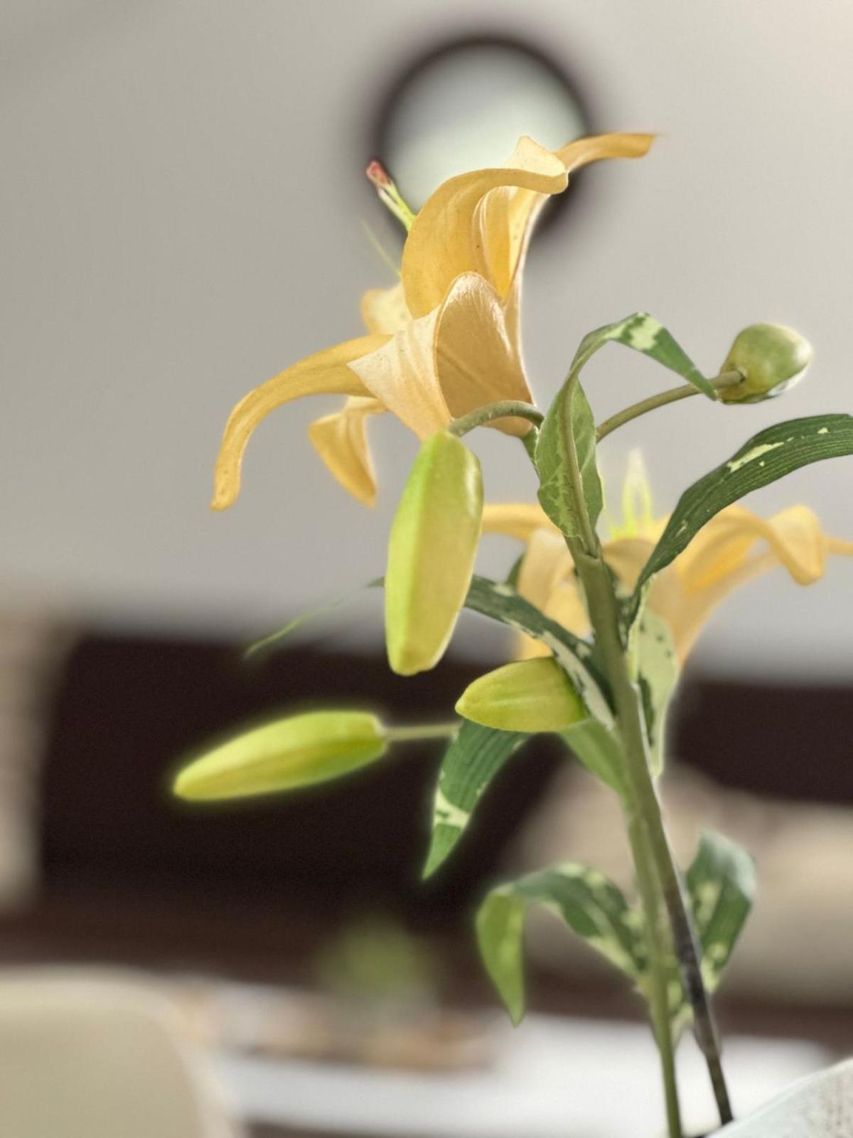 Apartments Teodo المظهر الخارجي الصورة